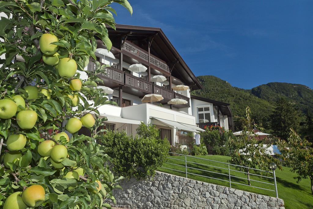 Riedingerhof 3* Merano